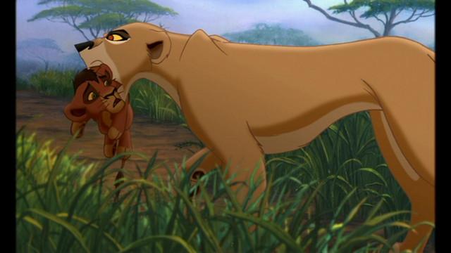 Kovu07.JPEG