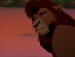 Kovu12.JPEG